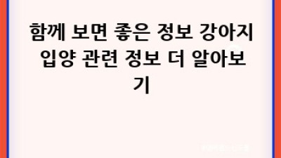 사랑스러운 반려견과 행복한 동행, 강아지 입양 가이드