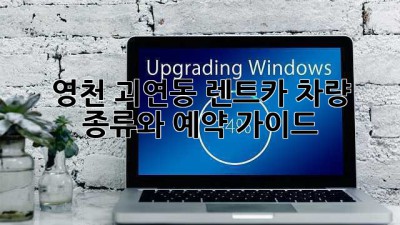 영천 괴연동 렌트카: 차량 종류와 예약 가이드