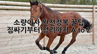 소량이사 완전정복 꿀팁🍯: 짐싸기부터 정리까지 A to Z