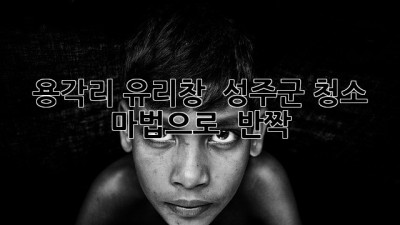✨ 용각리 유리창, ✨ 성주군 청소 마법으로 ✨ 반짝!